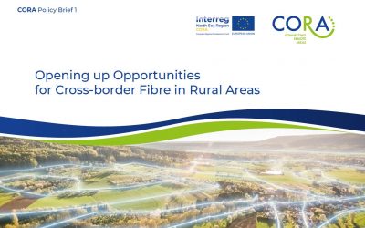 CORA Policy Briefs on Digital Infrastructure, Digital Skills and Digital Services